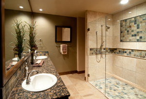Frameless Shower Doors