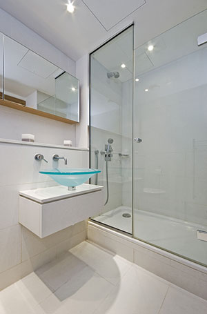 Frameless Shower Doors Smyrna