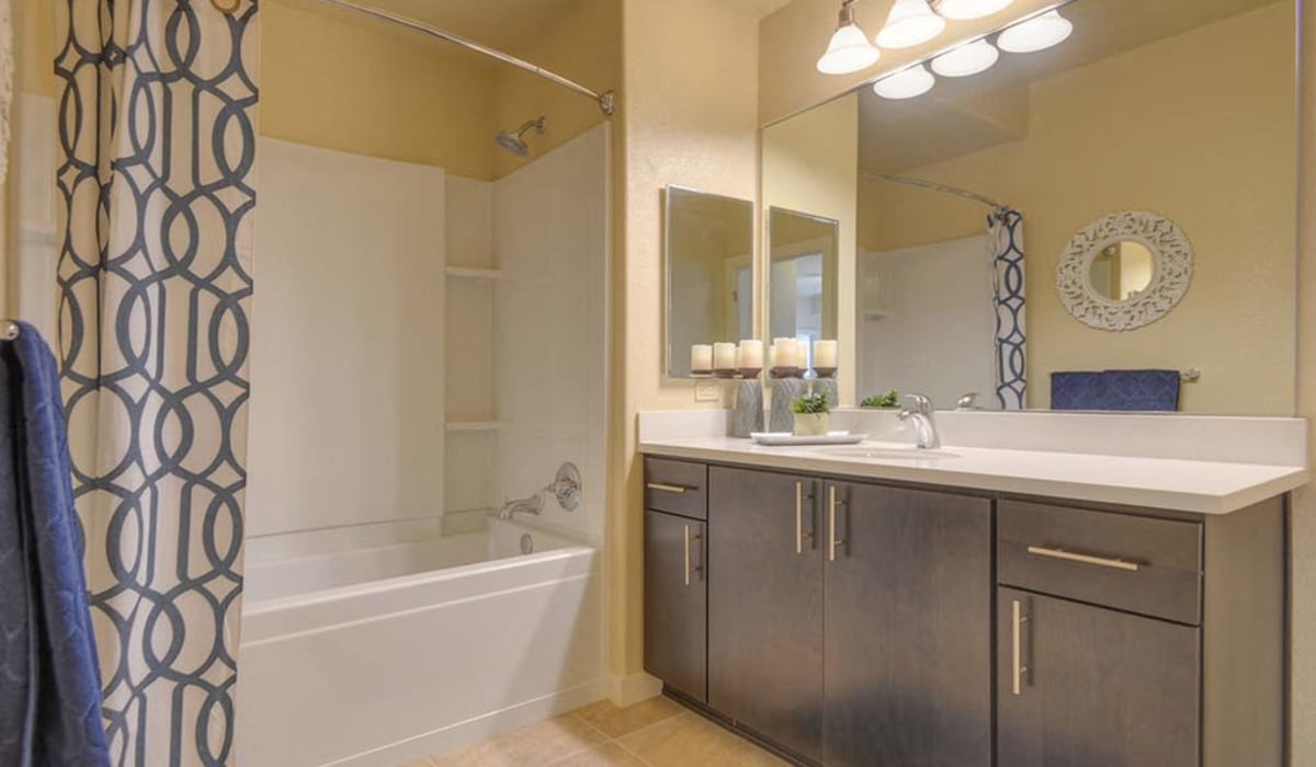 Bathroom Vanity and Shower