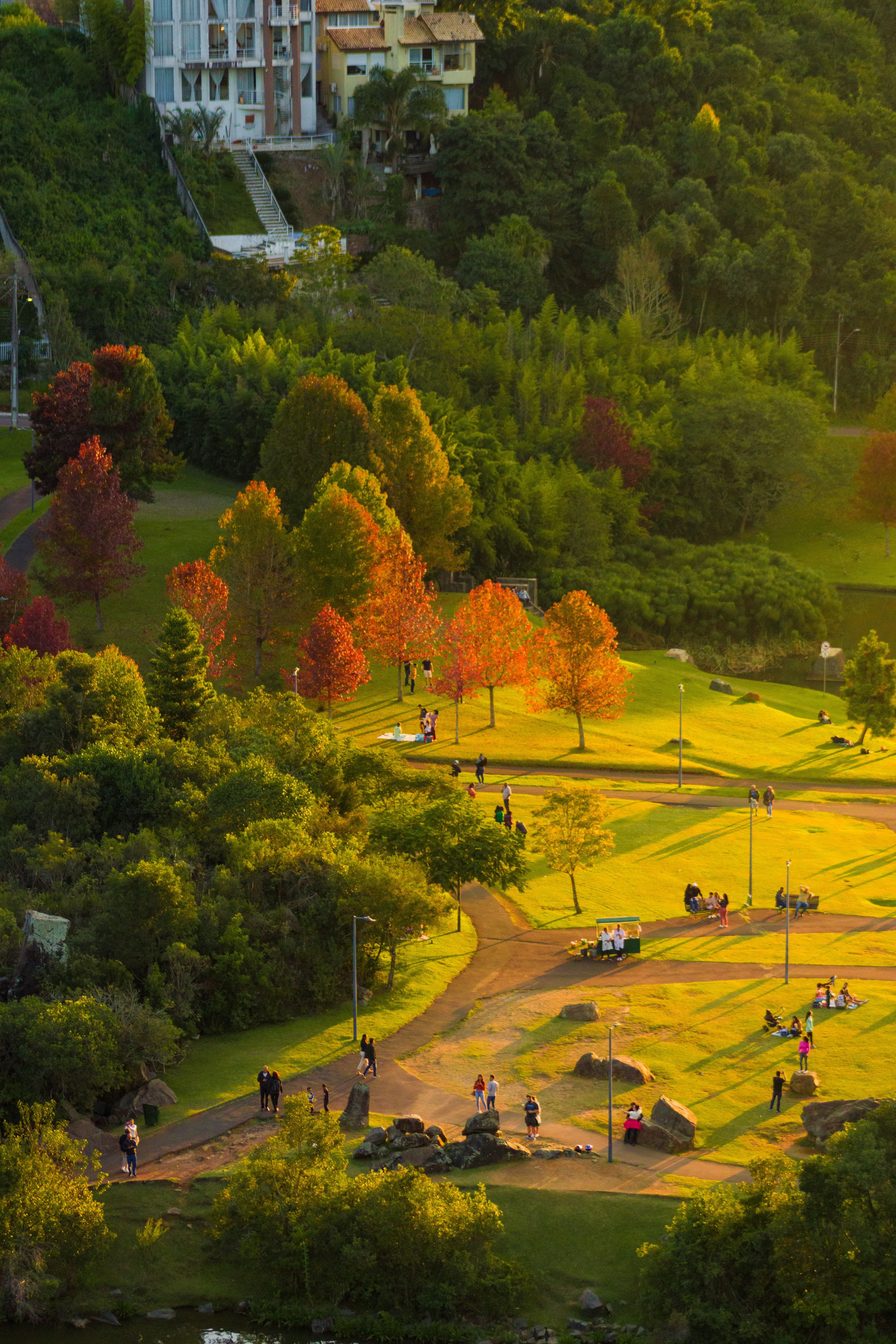 The Sustainable Sites