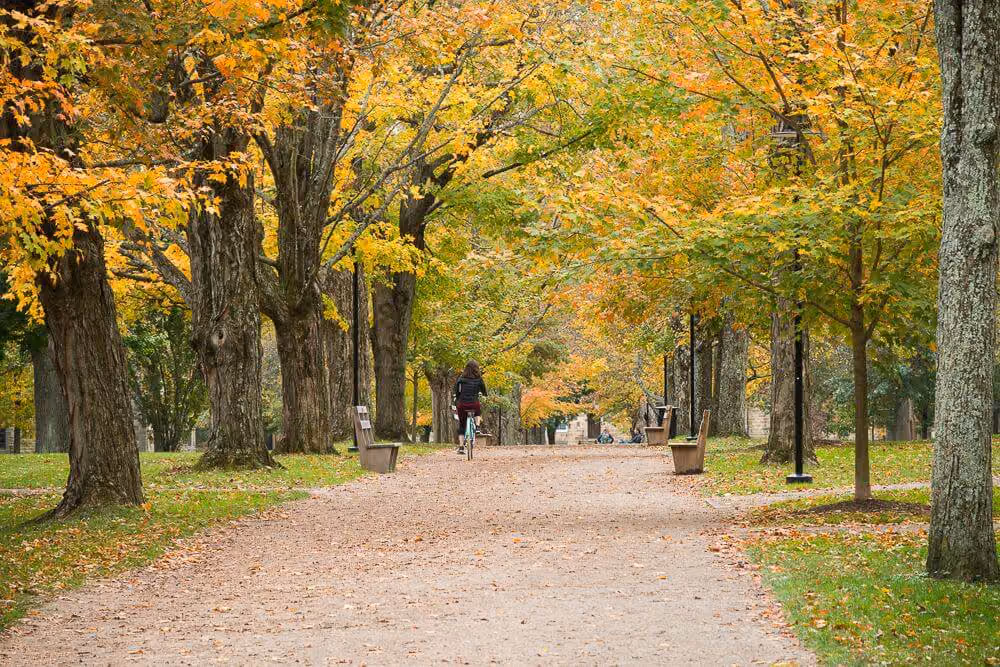 Kenyon College's tree-lined Middle Path through historic Gambier campus architecture