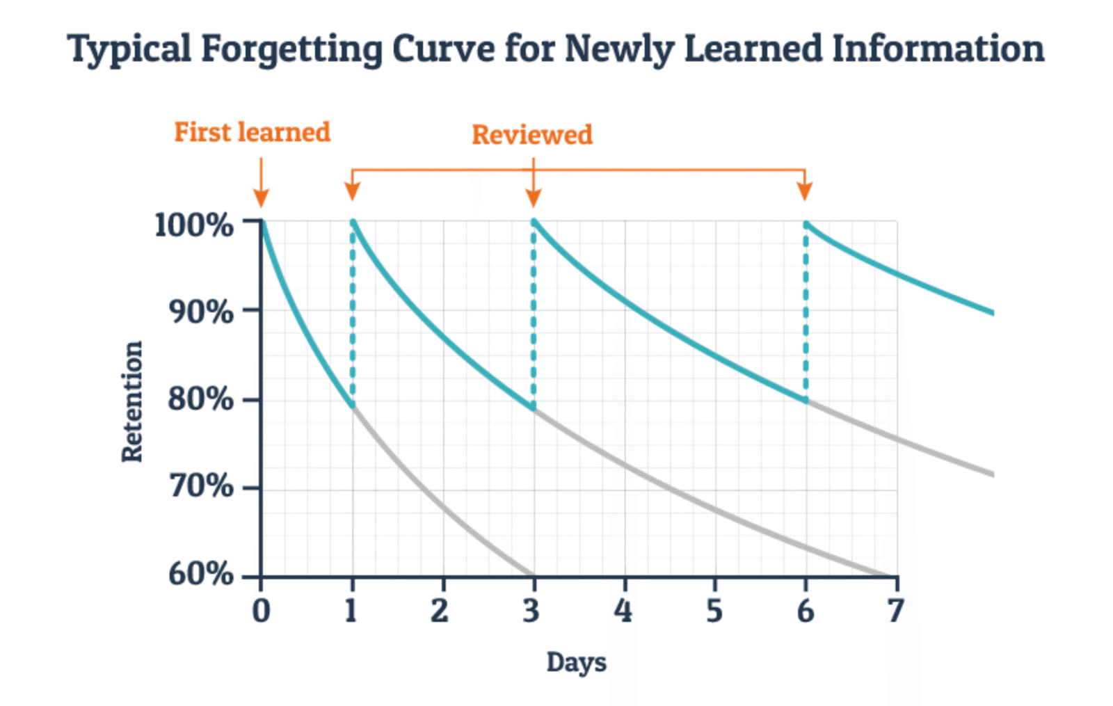 forgetting curve for notes