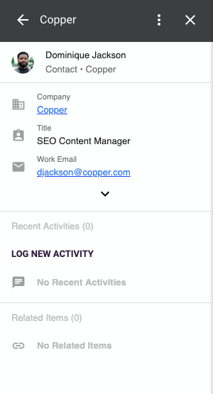 Copper Profile in Gmail