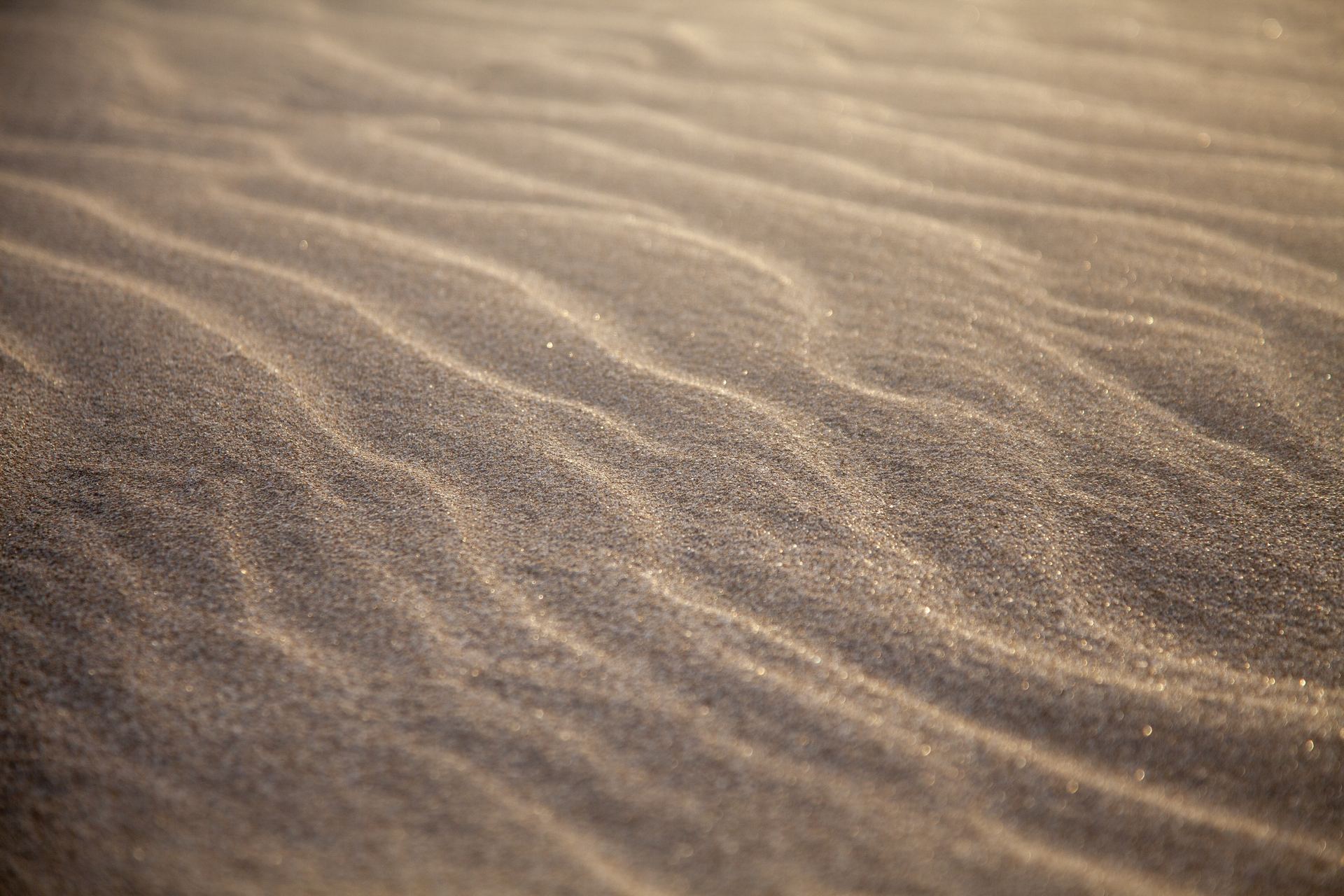 Ondulations de sable à la lumière dorée