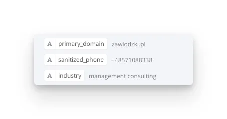 Branża klienta rozpoznana przez API apollo.io