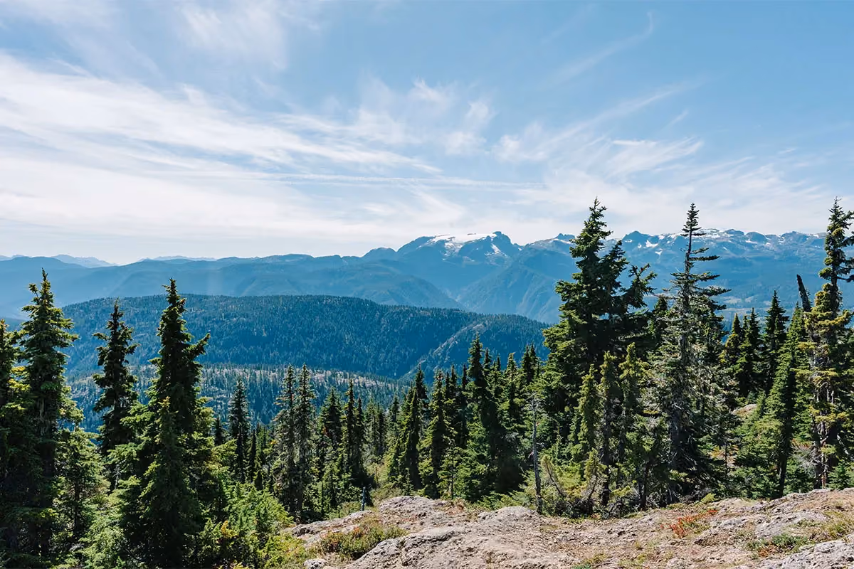 A view of the Comox Glacier and mountains from the summit of Mt. Becher, BC.