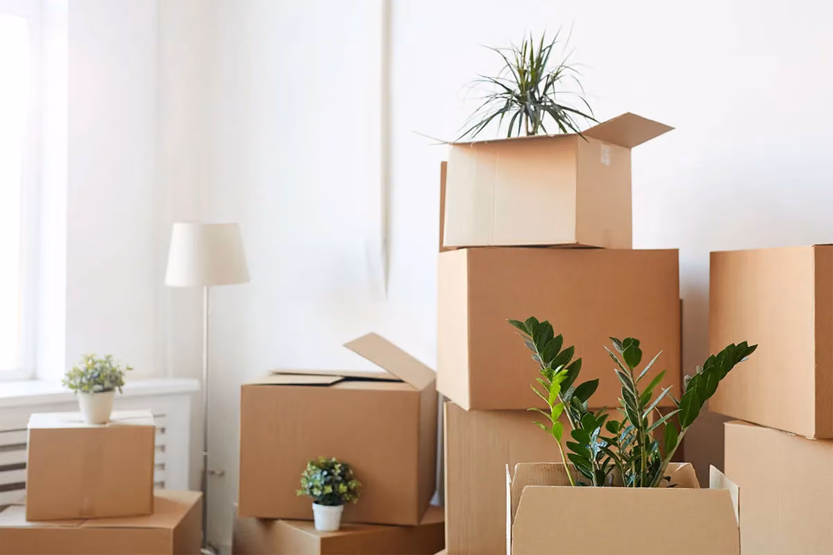 Move-out boxes in a property that is having move-out cleaning.