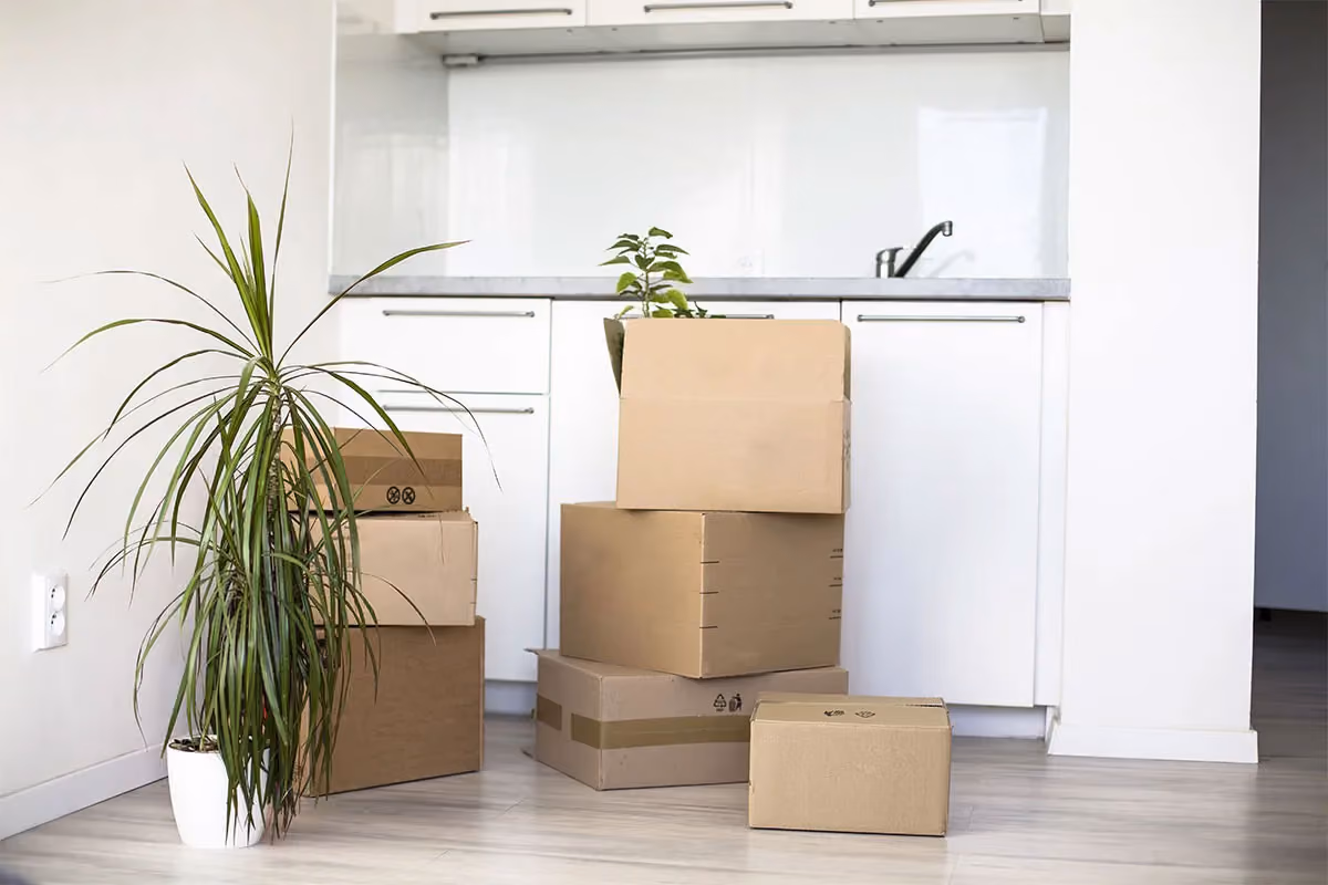 Move-out boxes in a clean apartment.