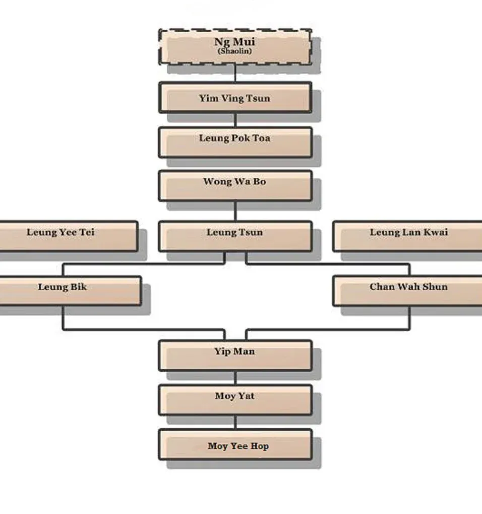 A diagram of a family tree with the name ng mei on top