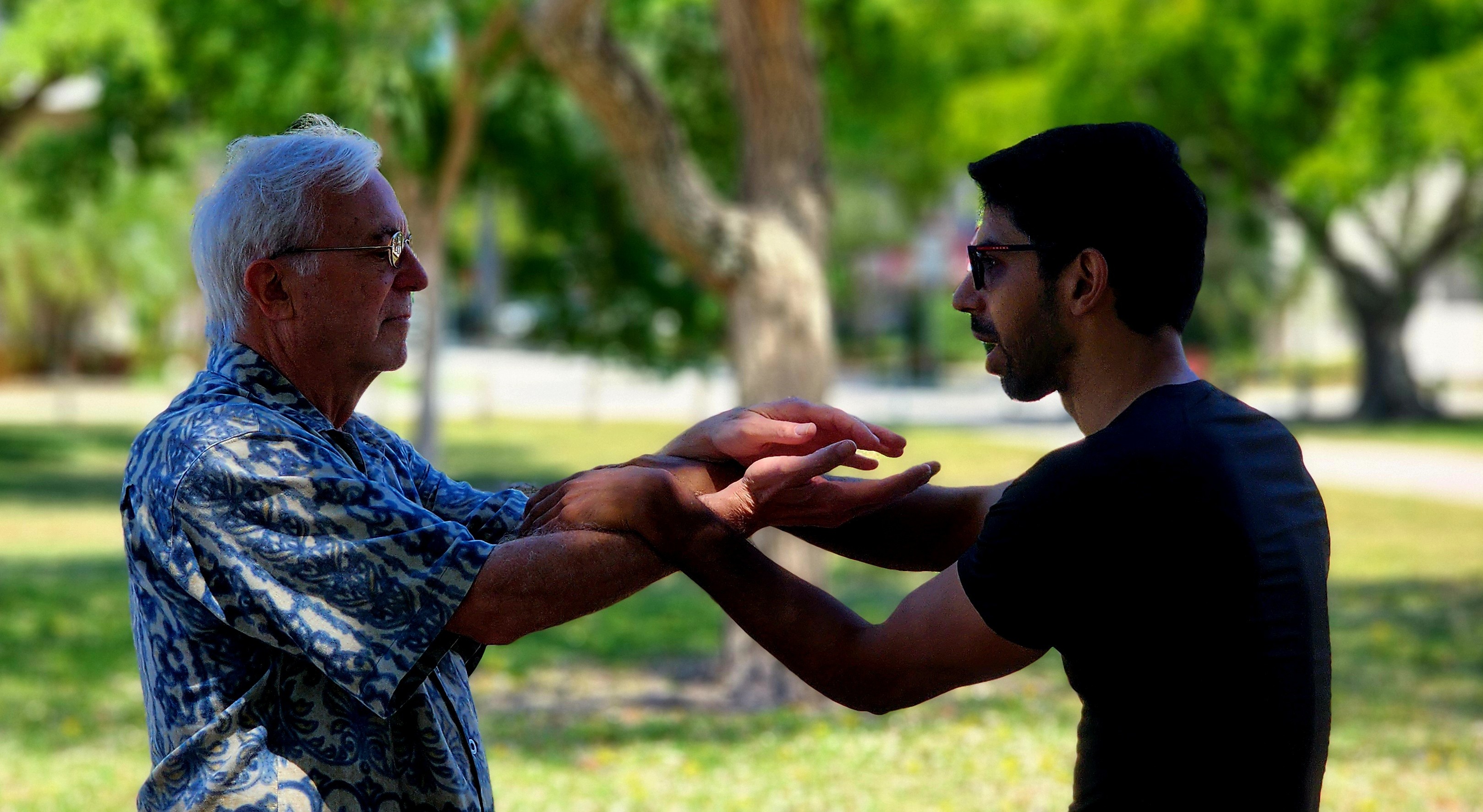 Chi Sao Training for Beginners Explained