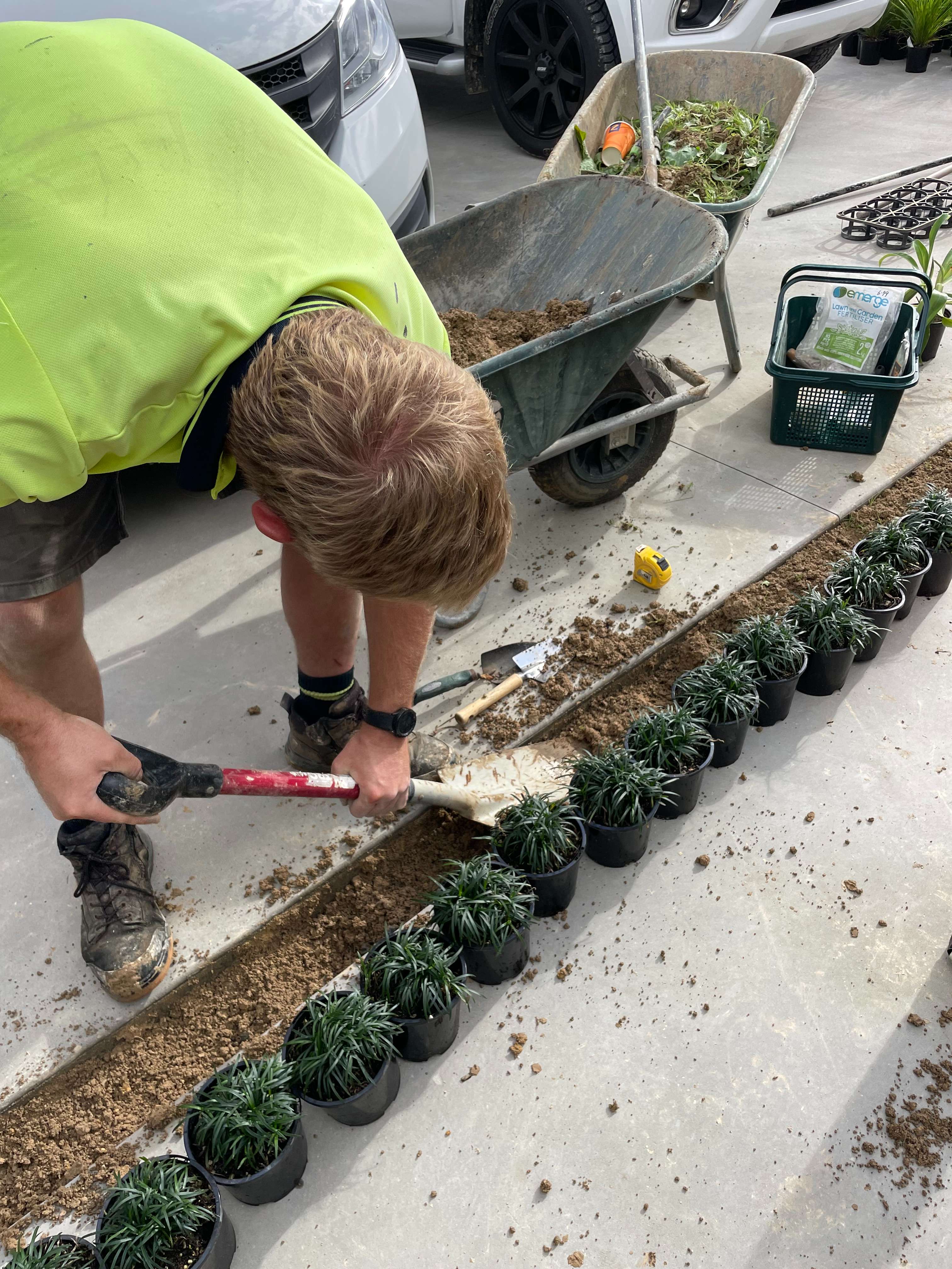 Planting and garden design