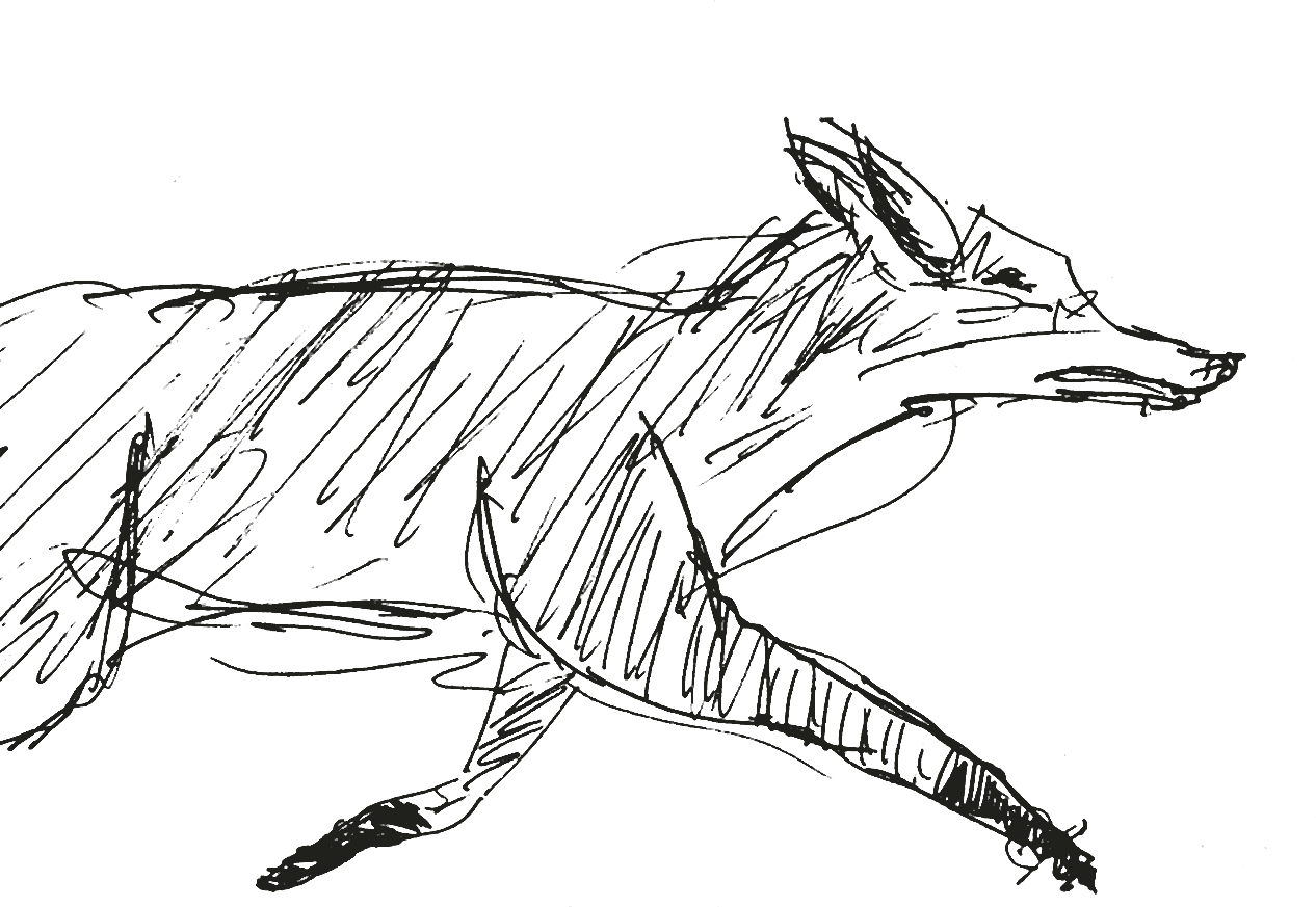 A trickster fox running, drawn by hand in ink