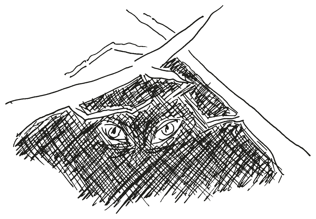 A waiting wolf in thick woods, drawn by hand in ink
