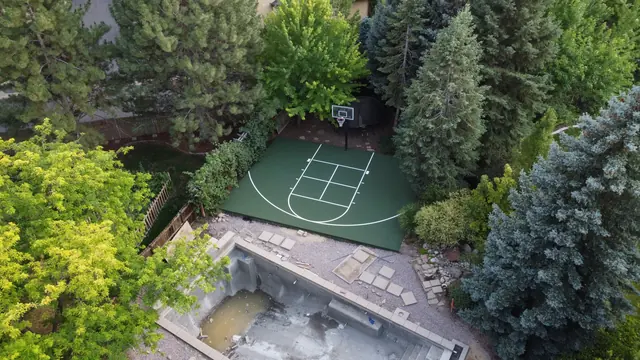 Green basketball half court with white markings surrounded by evergreen trees.