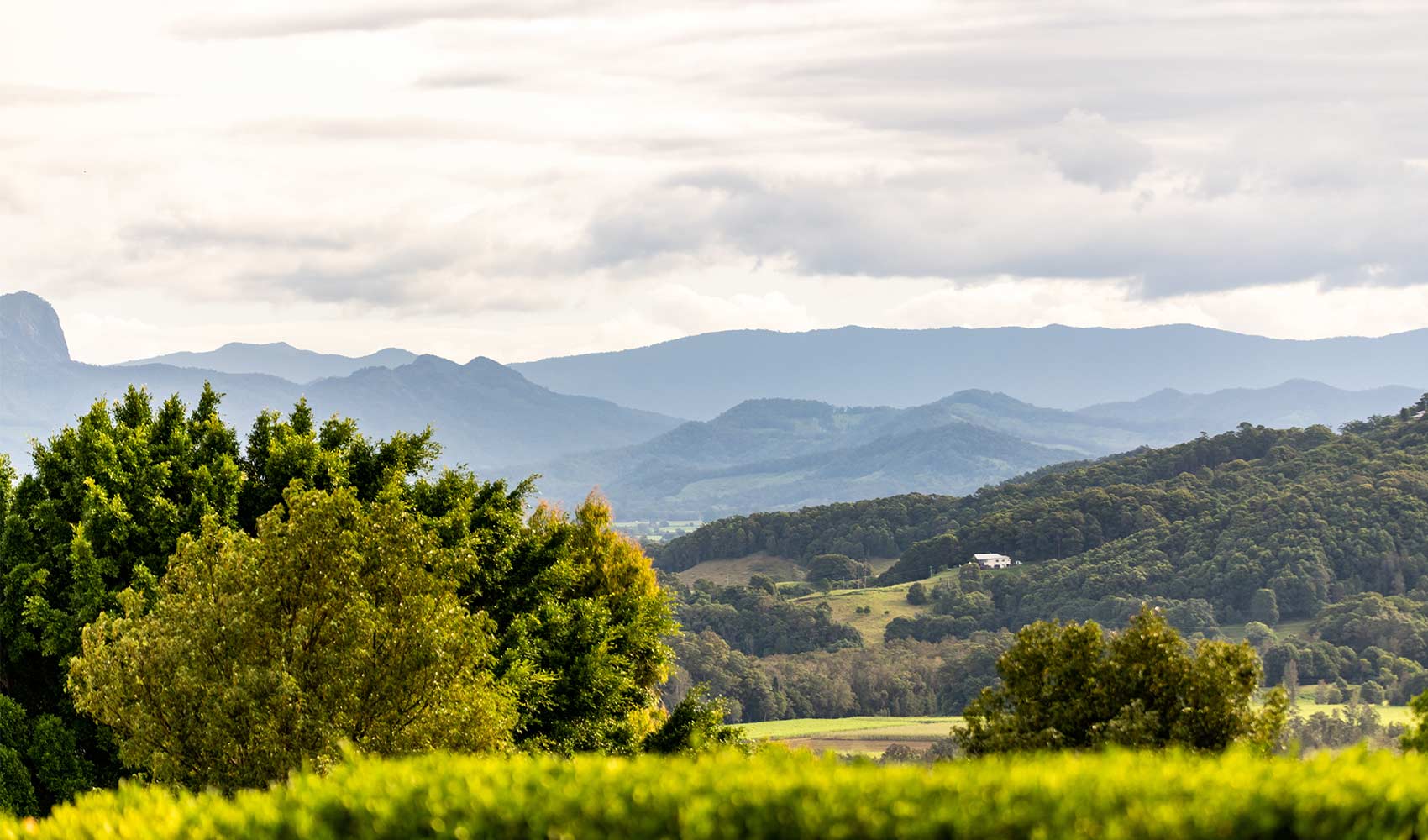 Green trees and hills in foreground with misty mountain ranges under cloudy sky in background.
