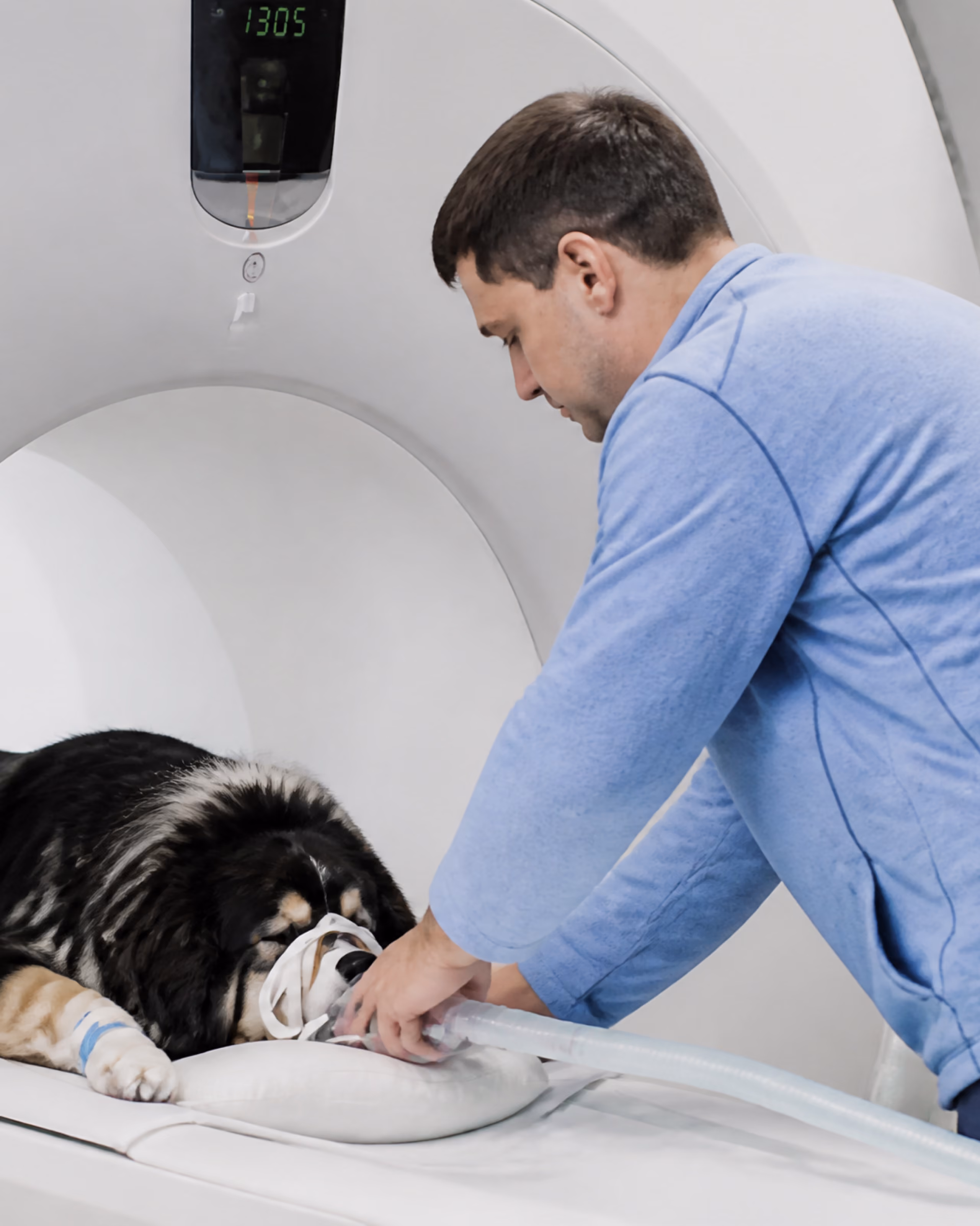 Mallard 2800c ventilation used with MRI 