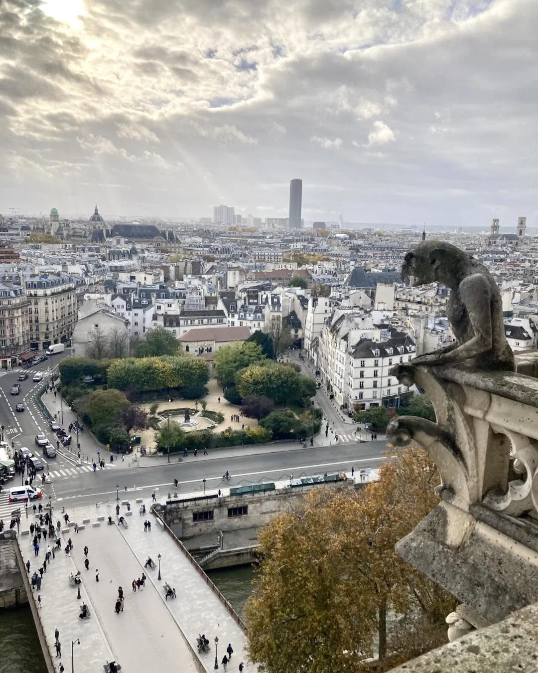 Paris rooftops viewed from Notre-Dame
