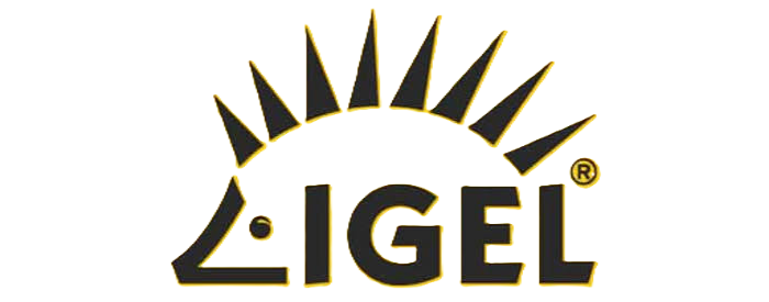Black IGEL logo with a stylised hedgehog icon on a yellow background.