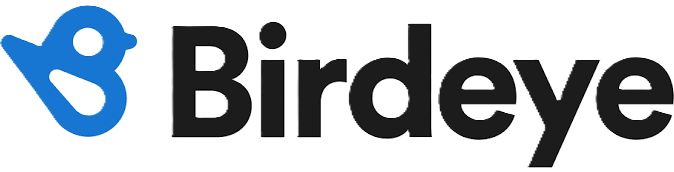 Birdeye company logo with a stylized blue bird icon followed by the black text 'Birdeye'.