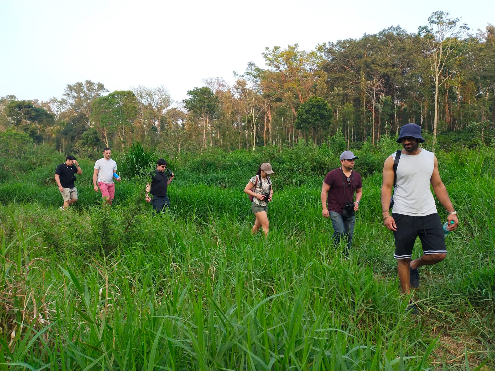 Guests on a guided safari drive
