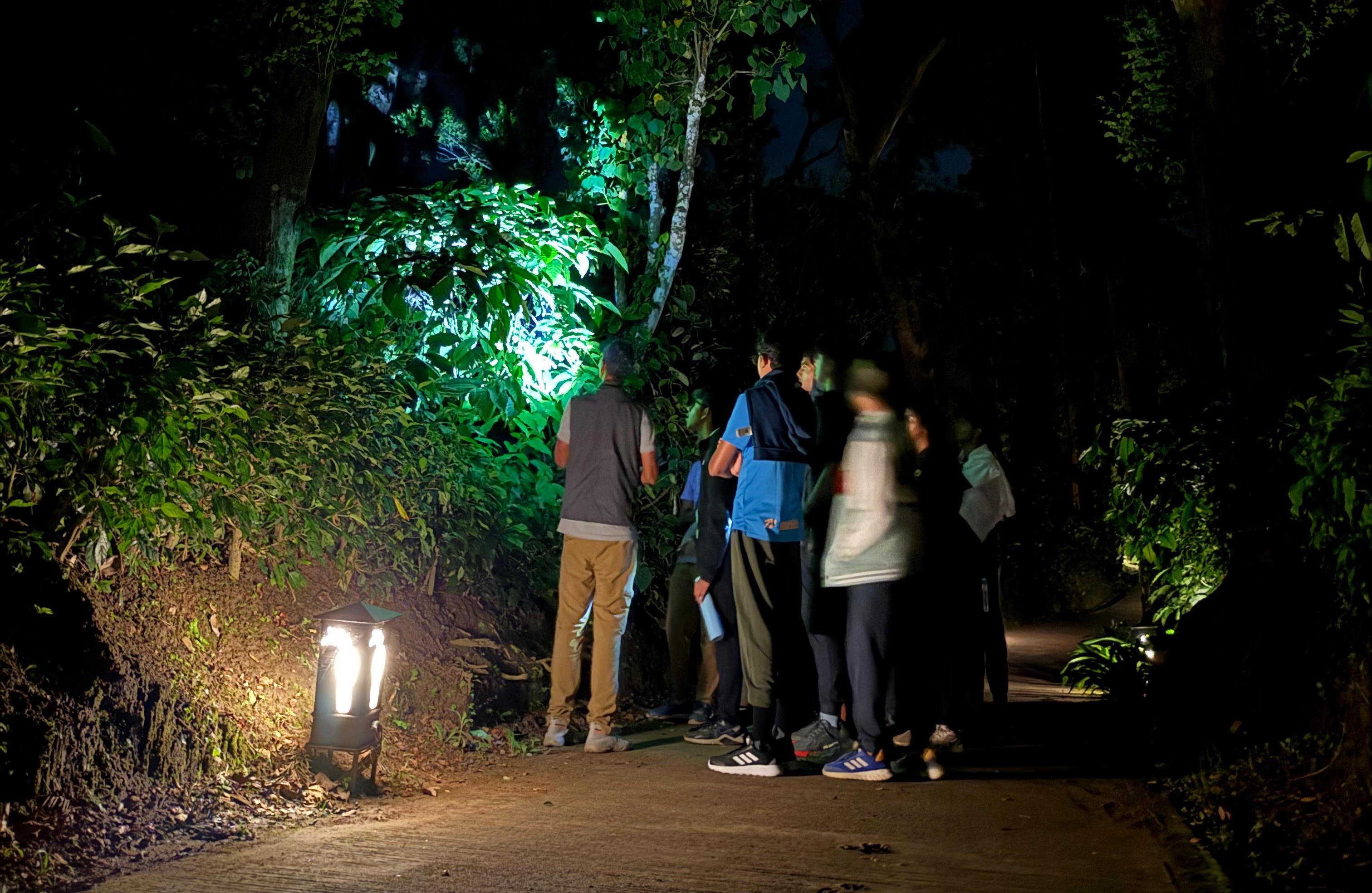 Campfire evening at Machaan