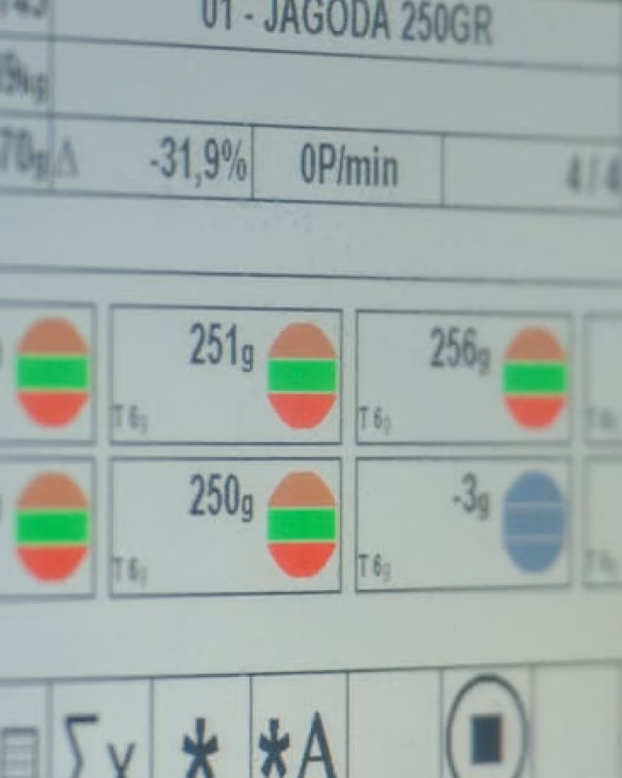 Screen showing weights labeled 251g, 256g, 250g, and -3g with colored bar indicators.