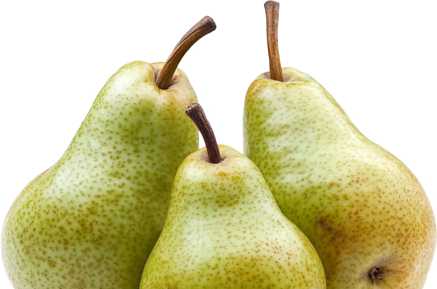 Three ripe green pears with brown stems against a white background.