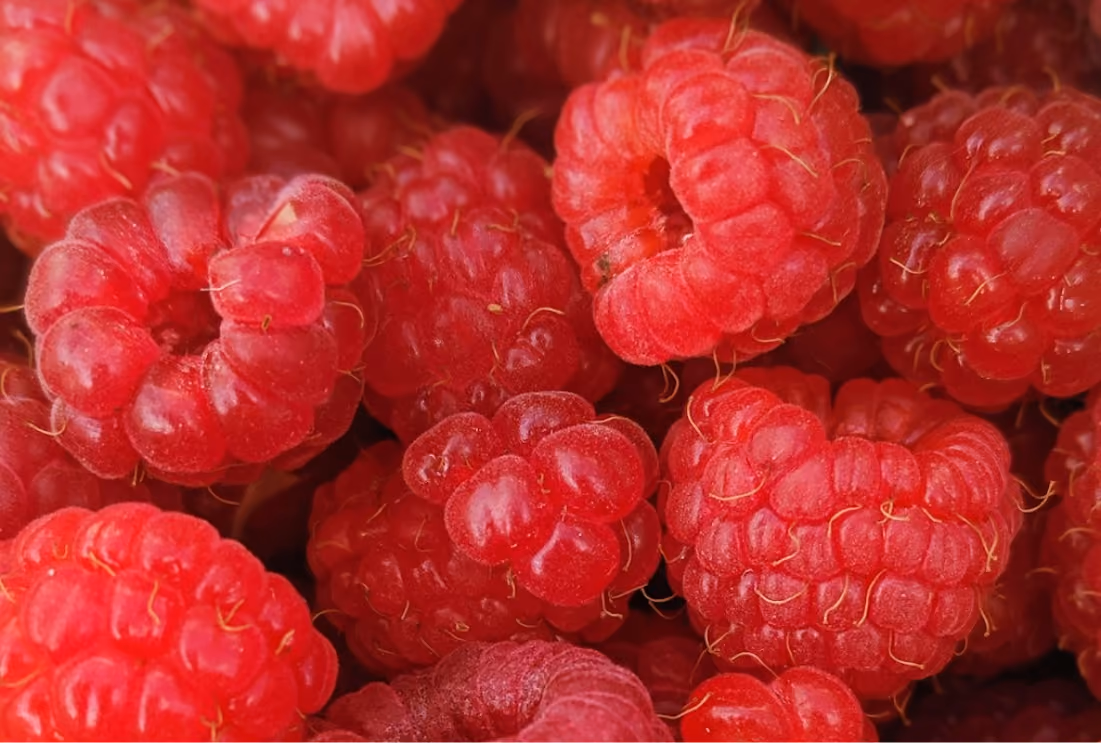 Close-up of fresh, ripe red raspberries filling the frame.