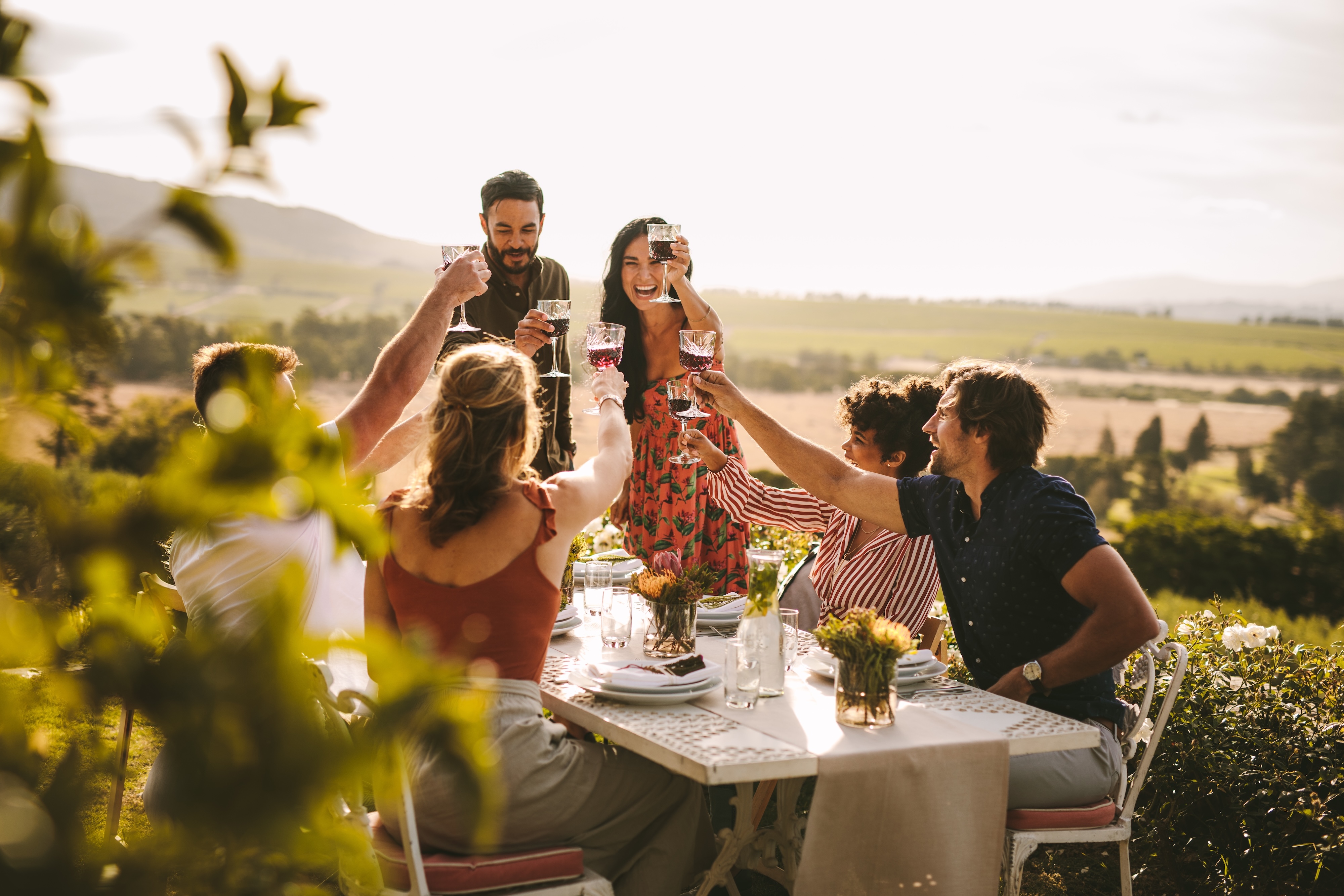 Friends cheering their wine stock image