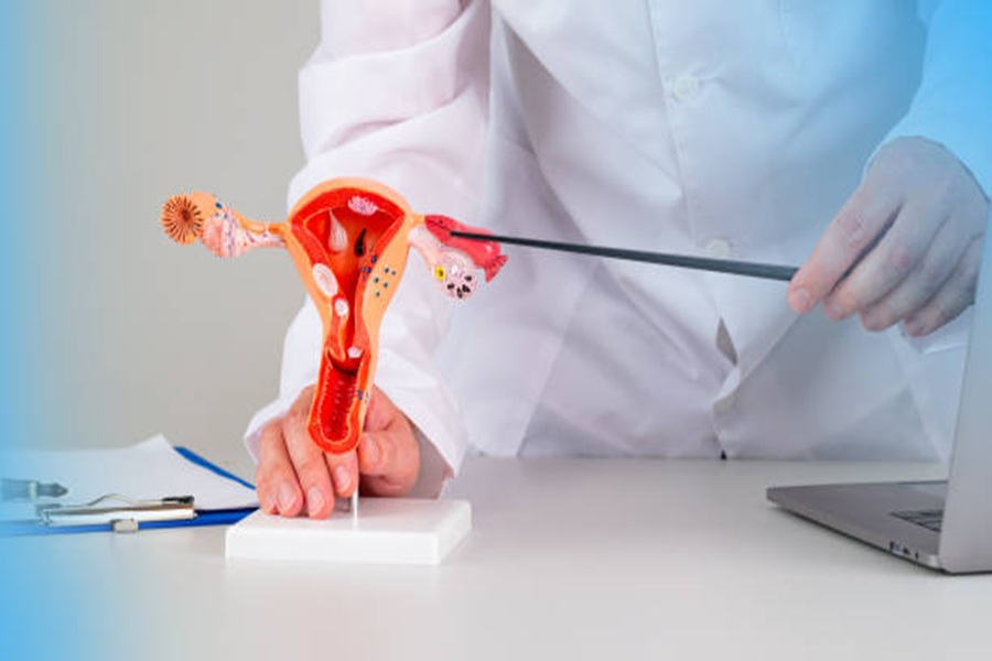 What Should You Look for in a Surgeon?