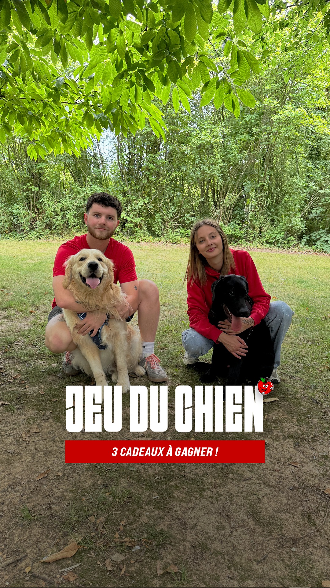 Un colis gourmand pour votre chien