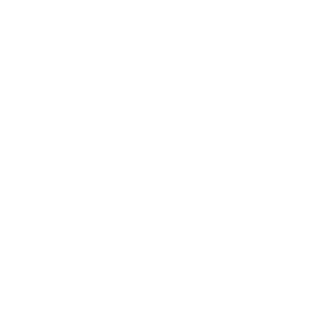 EU AI Act ready