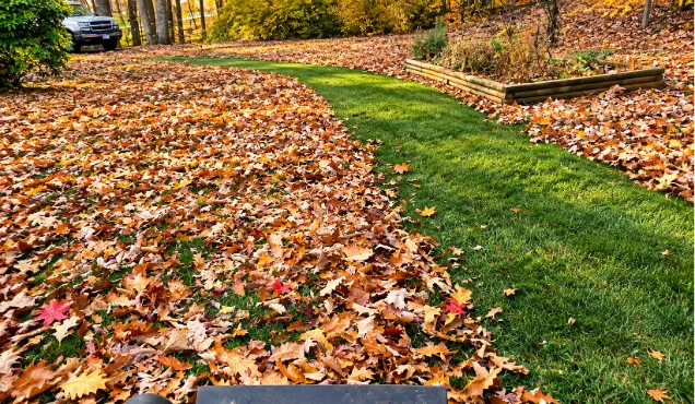Blog Listing Image