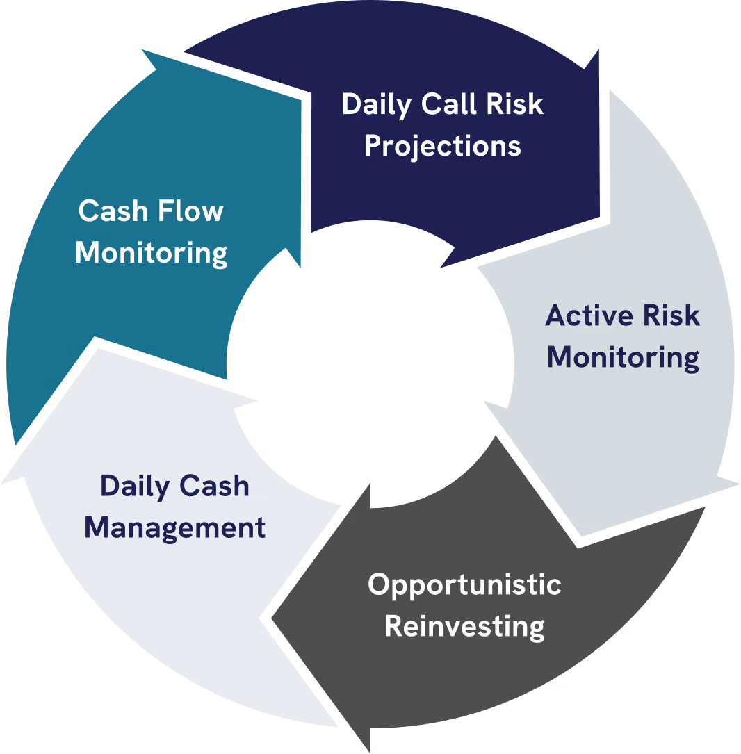 A circle graph showing these steps: cash flow monitoring, daily call risk projections, active risk monitoring, opportunistic reinvesting, daily cash management.