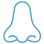Nose and sinus services