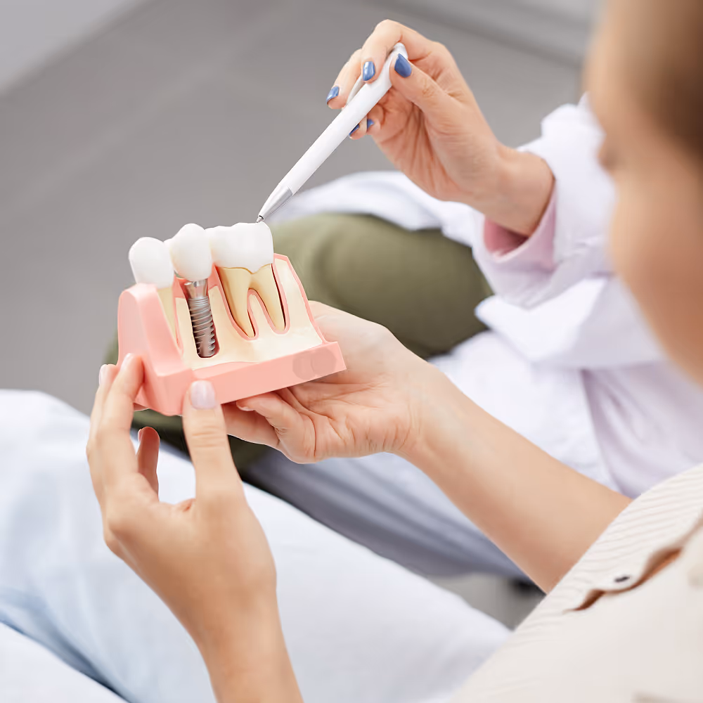 Dental implant model showing post, abutment, and crown at Dentiq Dentistry Houston