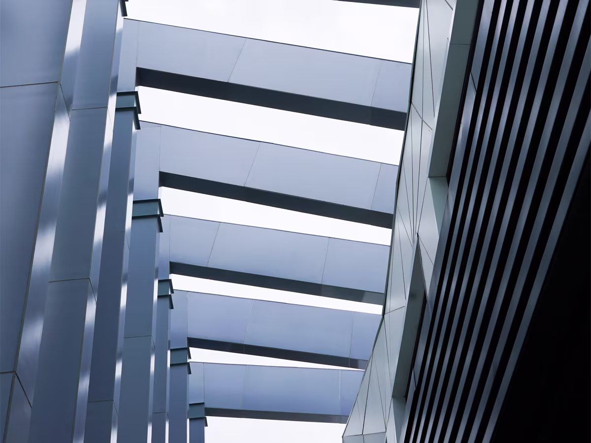 Fins | Cladify