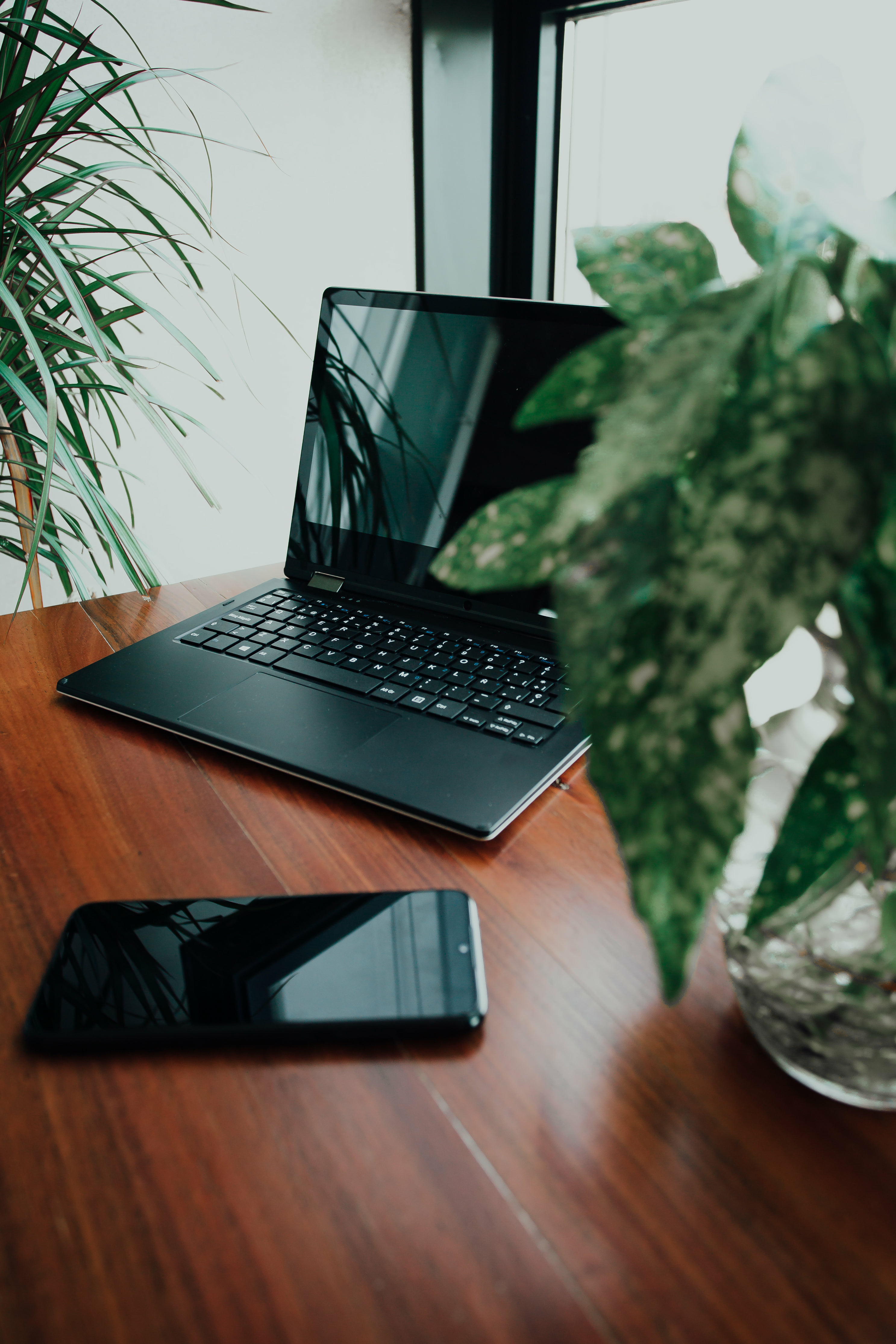 Computer on desk with phone and plant stock image