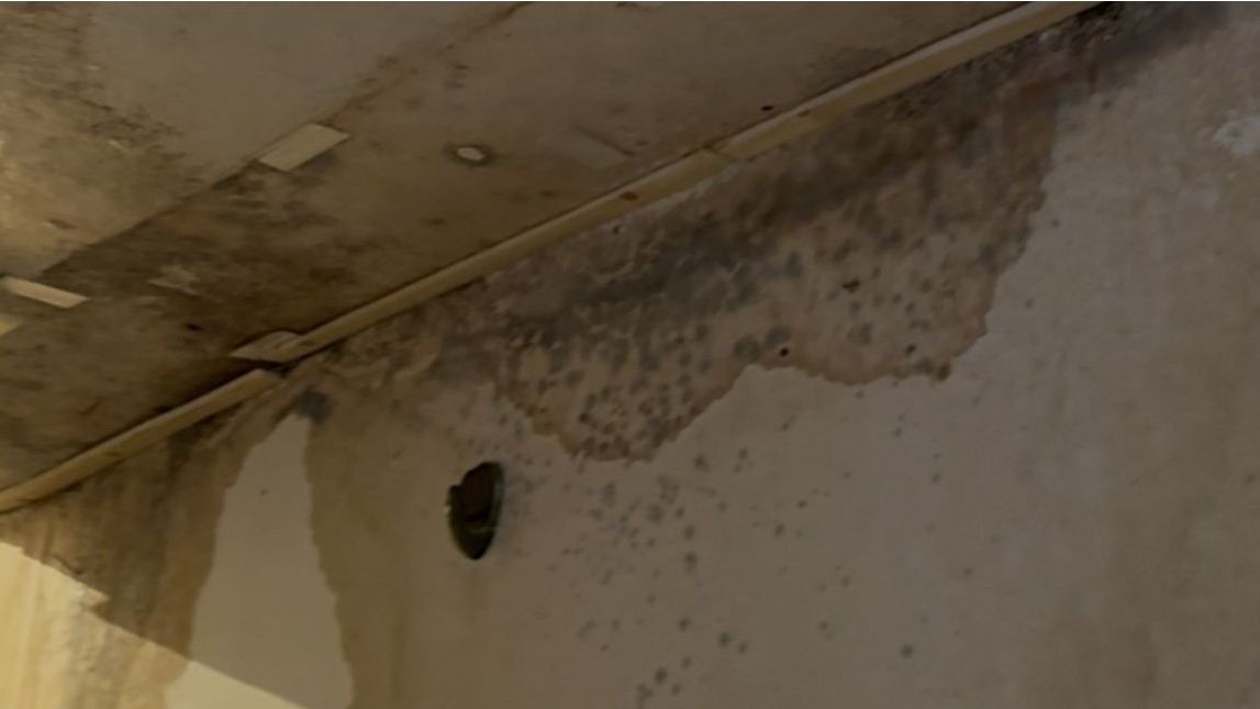 Wasserschaden an Decke und Wand
