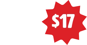 12 inch Vegie Cheese pizza price