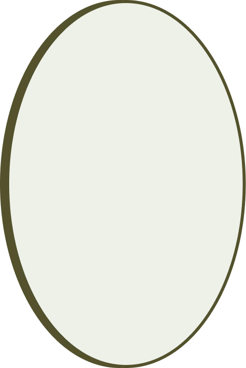 Vertical ellipse with light green fill and darker green border on a transparent background.