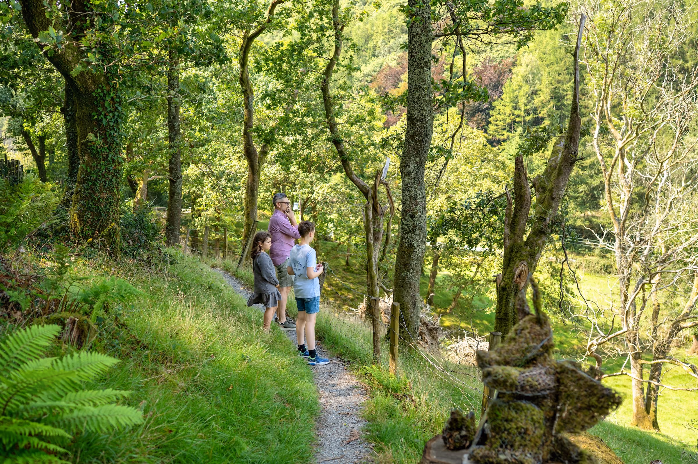 People Walking On Trail Stock Image