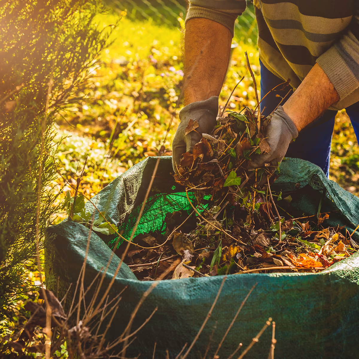 Professional landscape bed weeding by E&E Lawn Care in Sacramento, California