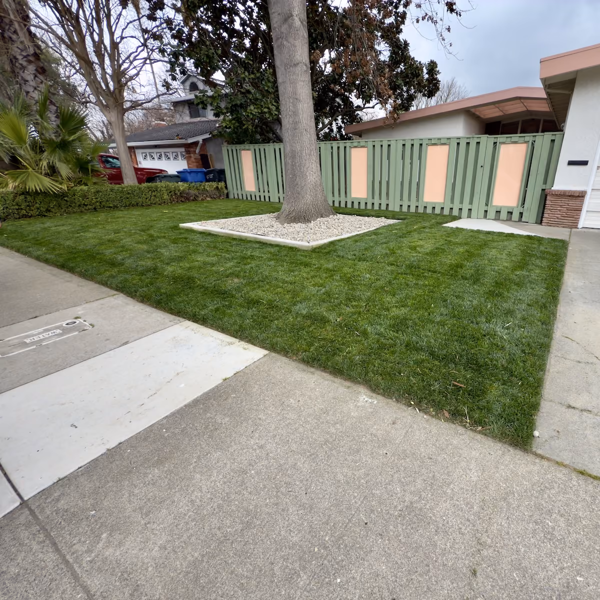 Professional landscaping by E&E Lawn Care in Sacramento, California