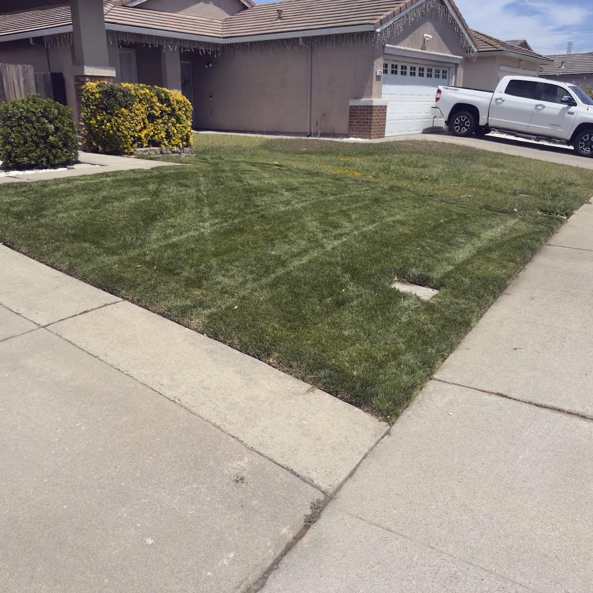 E&E Lawn Care maintaining a healthy residential lawn in Sacramento, California