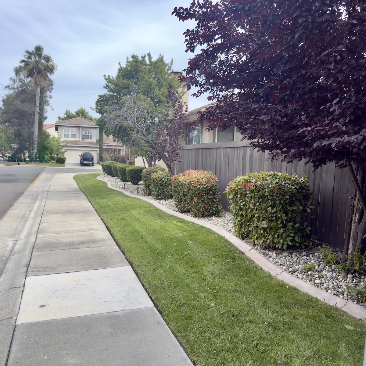 Professional residential lawn mowing near me by E&E Lawn Care