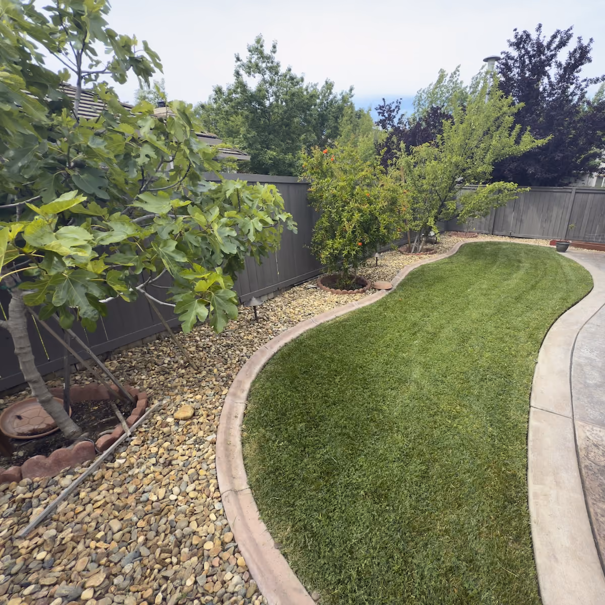 Residential lawn maintenance by E&E Lawn Care in Sacramento, California