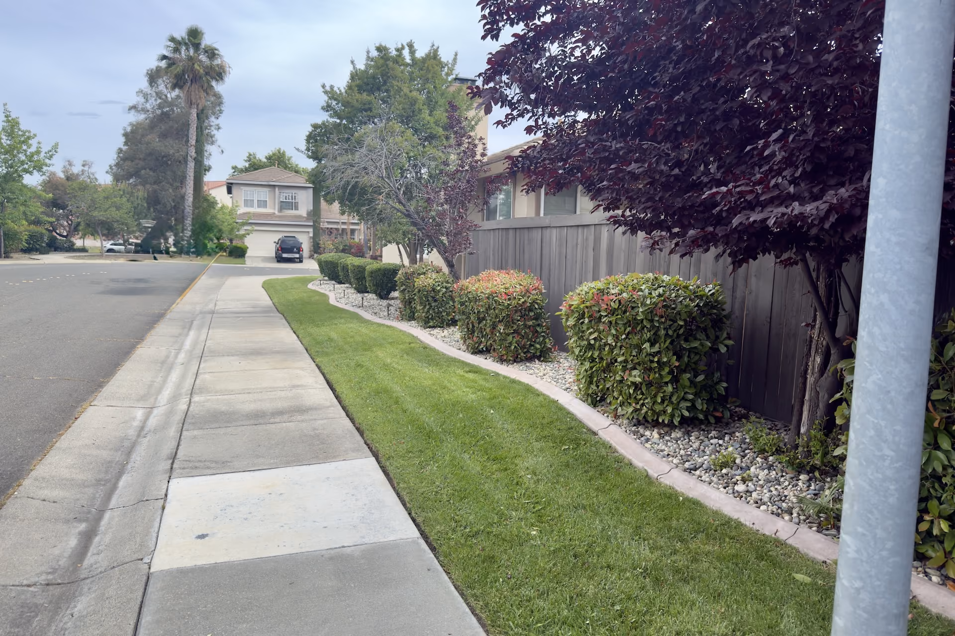 Professionally trimmed shrubs and hedges in Sacramento, California