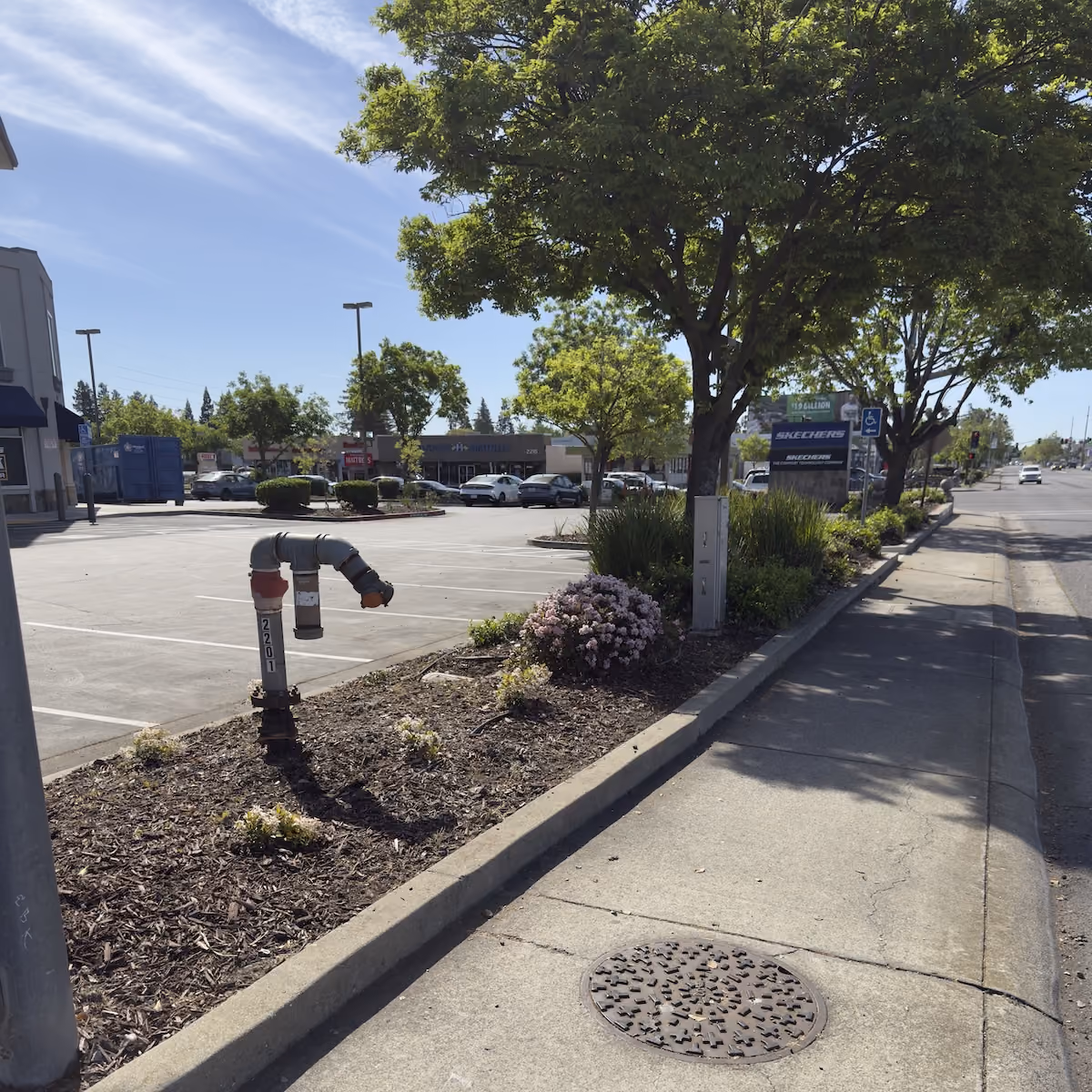 Commercial lawn care near me by E&E Lawn Care in Sacramento