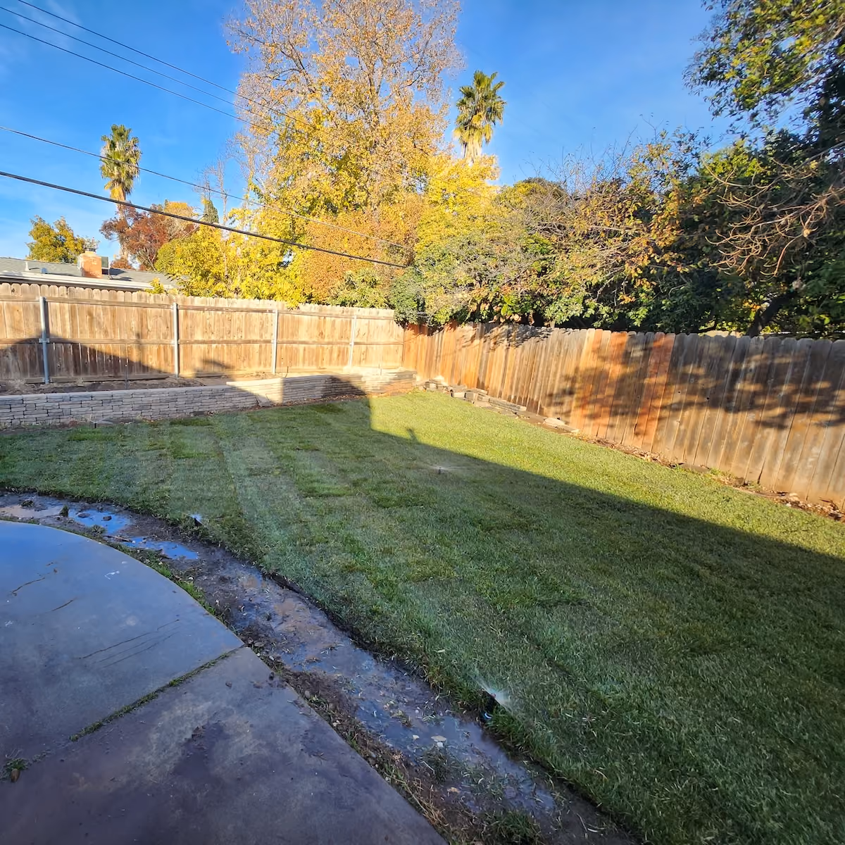 Professional lawn mowing, edging, and trimming in Sacramento, California


